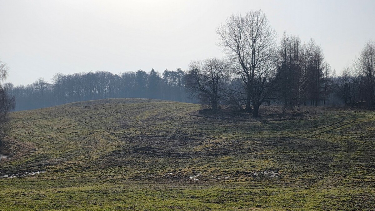 Elbląg SZULC & SZULC BIURO NIERUCHOMOŚCI NA SPRZEDAŻDziałka budowlana - Stare Monasterzysko