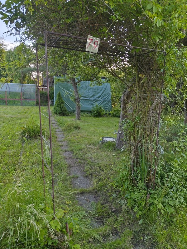 Elbląg Sprzedam prawo do użytkowania działki ROD