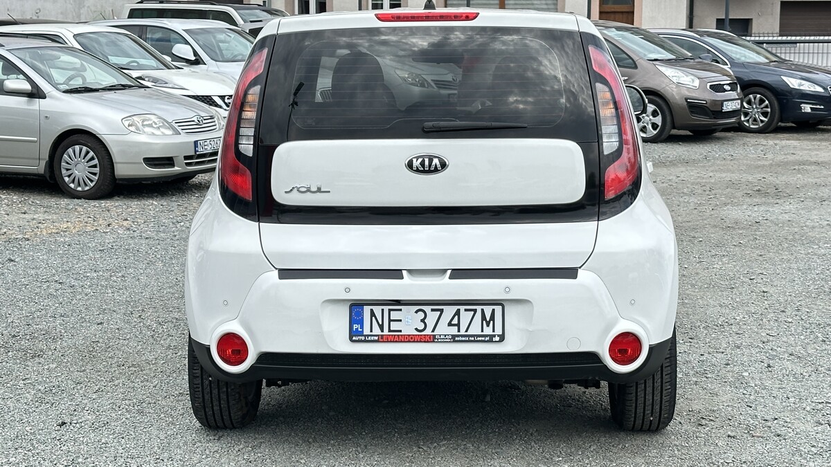 Elbląg Auto LeewLEWANDOWSKI