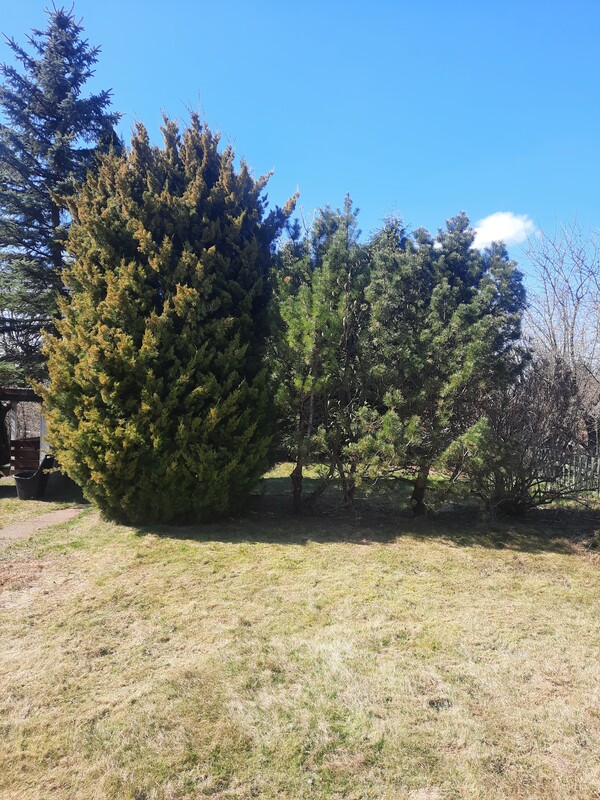 Elbląg sprzedam działkę rod Słoneczne Wzgórze na Bielanach o pow.450m ², drewniana altanka, osobne WC, woda,