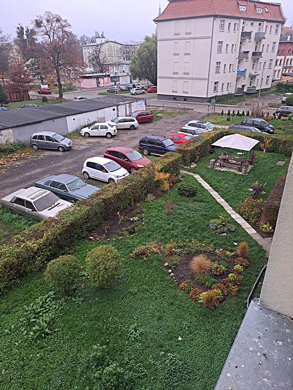 Elbląg Kawalerka w Elblągu w centrum miasta