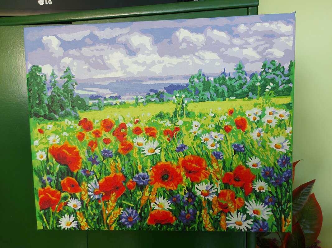 Elbląg Obrazy w akwareli o wym.40x50 cm sprzedam.50zł/szt