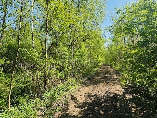 Elbląg PÓŁNOC NIERUCHOMOŚCISprzedam działkę - Bobrowiec. Na sprzedaż oferujemy działkę gruntu o powierzchni 2,15