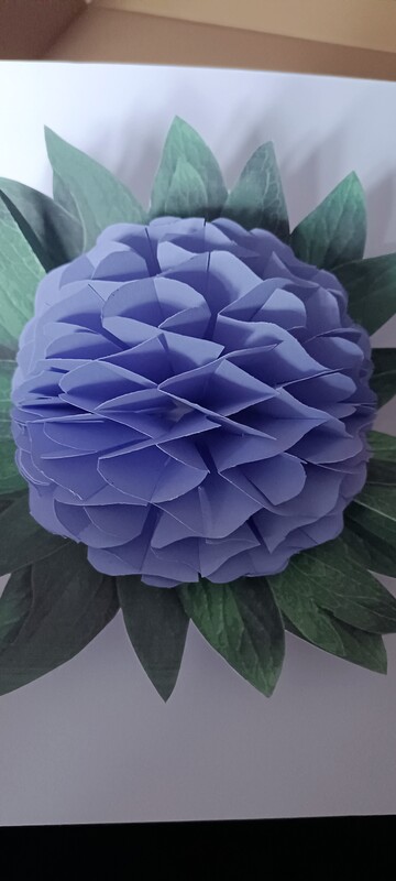 Elbląg Dzień dobry,
W ramach hobby wykonuje z papieru kartki okolicznościowe, origami modułowe 3d.
Poszukujesz