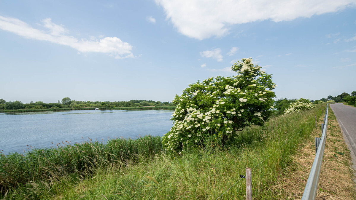 Elbląg * * * ABC NIERUCHOMOŚCI * * * POLECAMY ŚWIETNĄ DZIAŁKĘ W NIEDALEKIEJ ODLEGŁOŚCI OD ELBLĄGAo pow. 3011m2z
