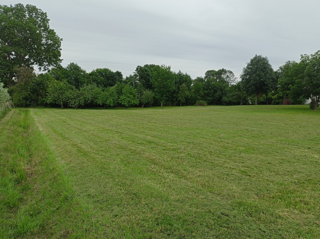 Elbląg 🏡 SPRZEDAM DOM Z DUŻĄ DZIAŁKĄ 🌳