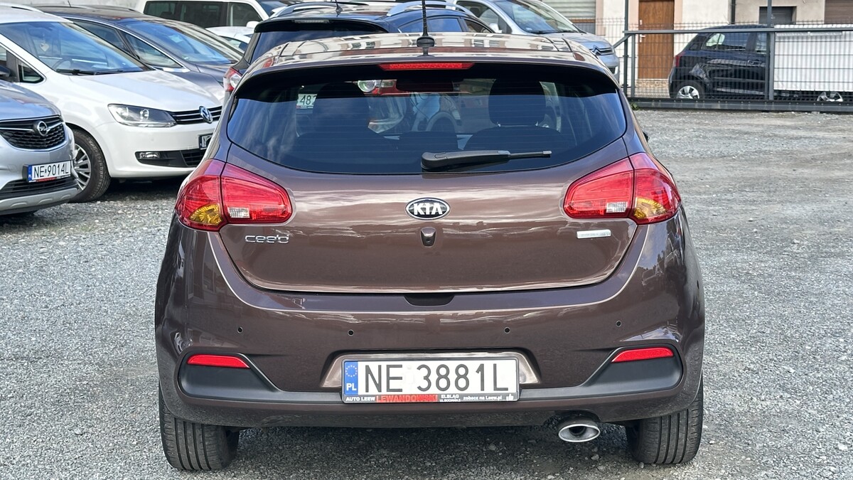 Elbląg Auto Leew LEWANDOWSKI