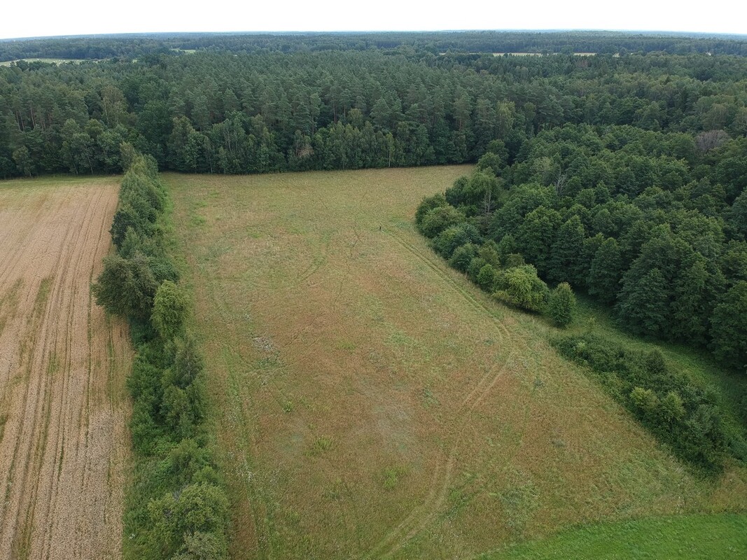 Elbląg SZULC & SZULC BIURO NIERUCHOMOŚCINA SPREDAŻ Działka budowlana - Błudowo gmina Młynary