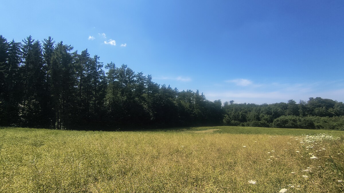 Elbląg Działki rolno-budowlane 10ha, widok na Zalew Wiślany, 30zł/m2!