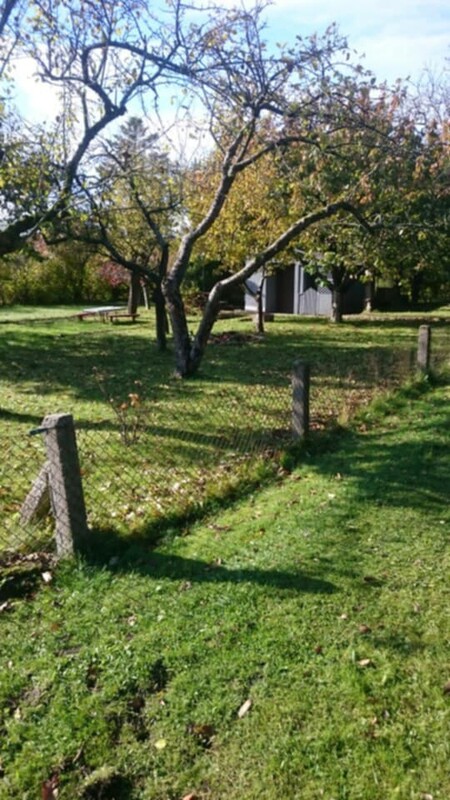 Elbląg 🌳 Sprzedam działkę 506 m² z altaną, piwnicą i drzewkami owocowymi! 🌞Na działce znajduje
