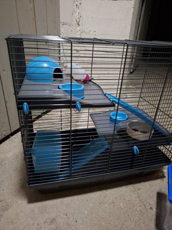 Elbląg Sprzedam praktycznie nową klatke na chomika wraz z kontenerkiem do transportu.