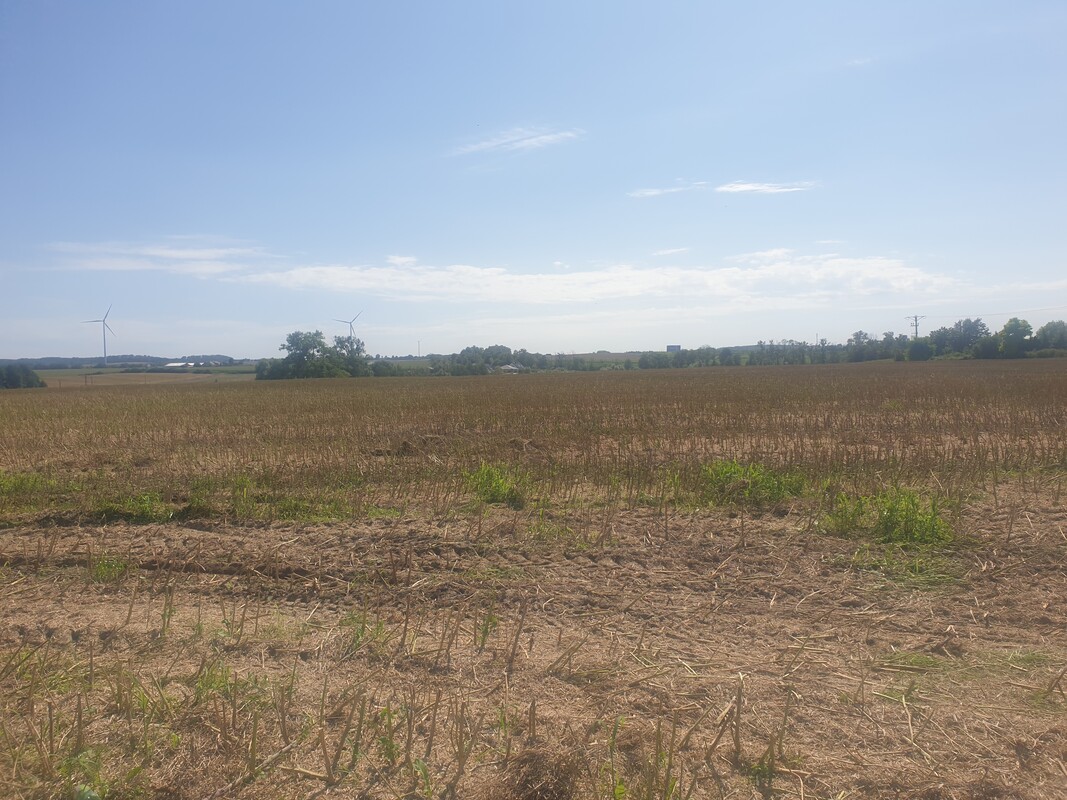 Elbląg MEGA-CONSULT NIERUCHOMOŚCI - WYCENA, SPRZEDAŻ, KUPNO, WYNAJEMOFERUJE ATRAKCYJNĄ DZIAŁKĘ INWESTYCYJNĄ O