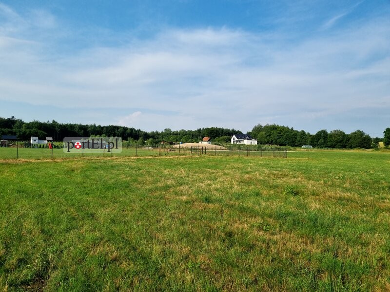 Elbląg Duża działka 3000 m2- blisko Elbląga- dojazd asfaltowy- Wysoczyzna Elbląska- w sąsiedztwie zabudowa