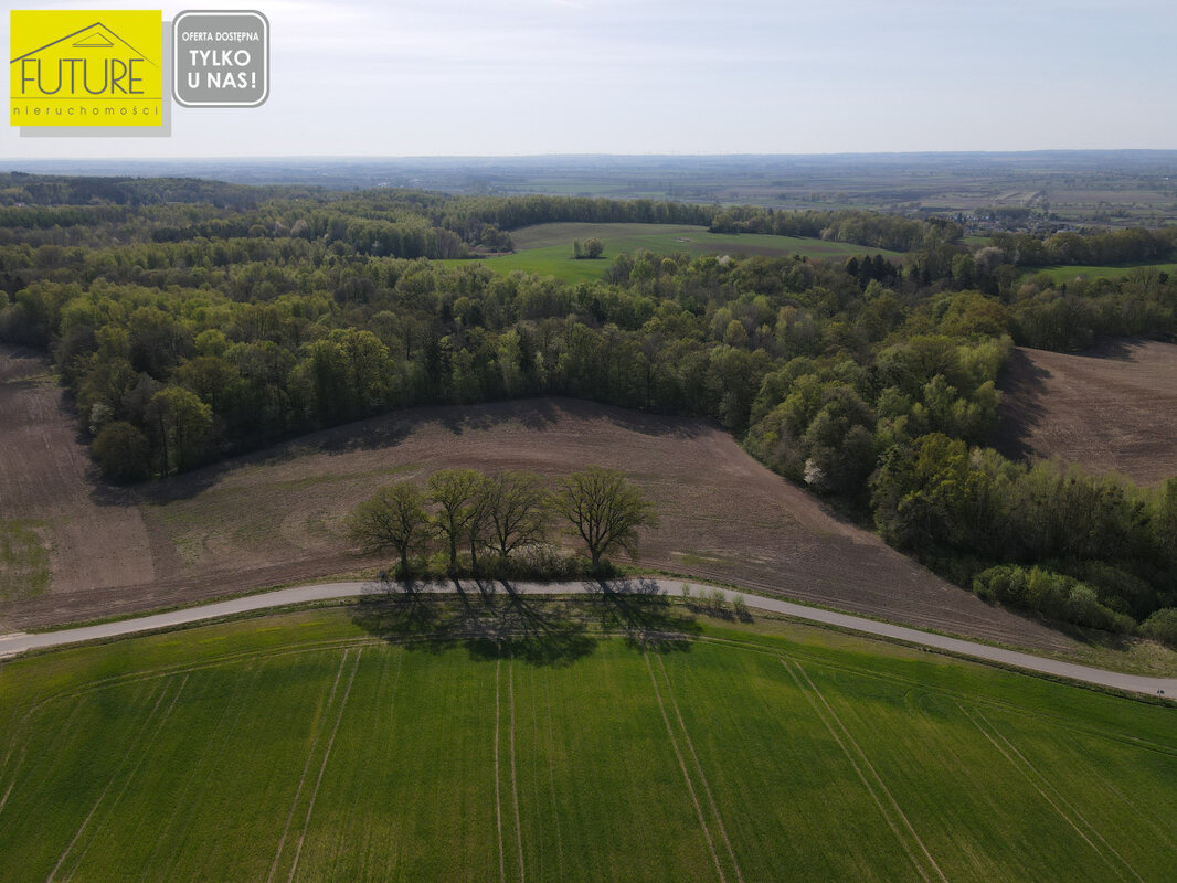 Elbląg FUTURE NIERUCHOMOŚCISprzedam działkę - Nowina. DZIAŁKA ROLNA - NOWINA GM. ELBLĄGCENA: 350 000