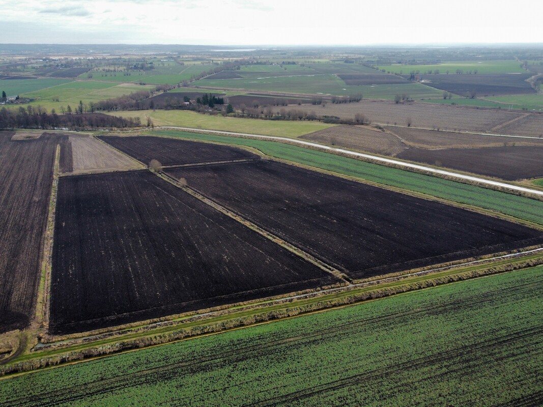 Elbląg NIERUCHOMOŚCI ANNA KRASZEWSKAGrunty rolne na sprzedaż 11,65 haSzopy, gm. Gronowo Elbląskie, powiat elbląski