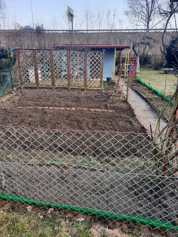 Elbląg Sprzedam działkę rod im. Kopernika na ul. Debowej, o powierzchni 300m², murowana altanka, wiata pod grilla