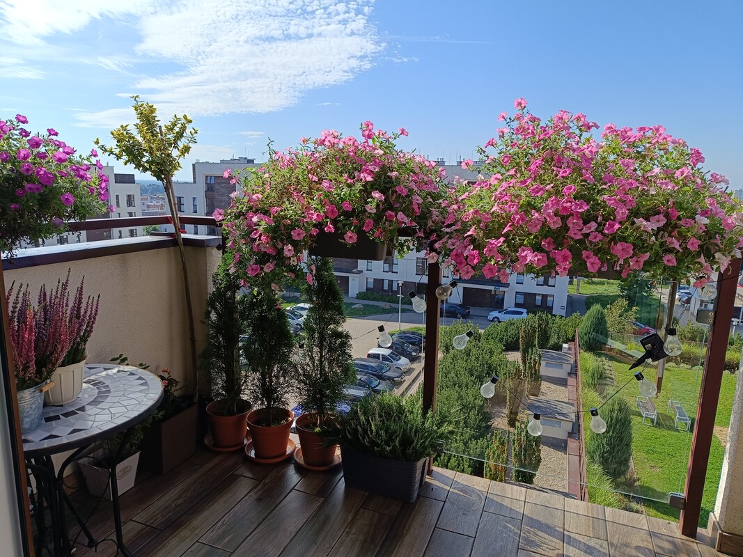 Elbląg MIESZKANIE NA SPRZEDAŻ
OSIEDLE LAWENDOWE WZGÓRZE, ULICA BRONIEWSKIEGO W ELBLĄGU
2 POKOJE (SYPIALNIA PLUS SALON