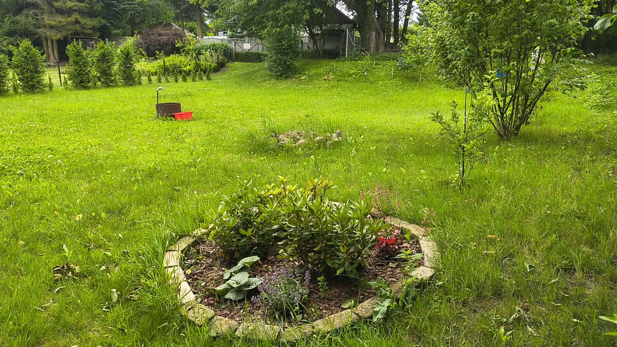 Elbląg Sprzedam