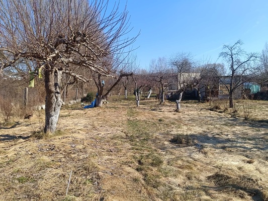 Elbląg Sprzedam działkę  ROD do własnej aranżacji.