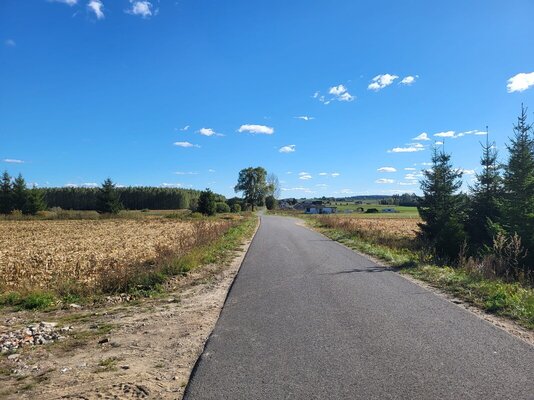 Elbląg AS  NIERUCHOMOŚCI  POLECAATRAKCYJNA  DZIAŁKA BUDOWLANA  Z WŁASNYM  LASEM W 