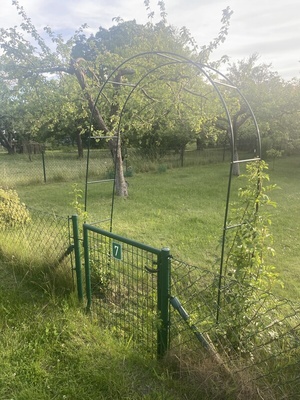 Elbląg NOWA NIŻSZA CENA 
Sprzedam działkę w ROD im. &rdquo;Podchorążych&rdquo;