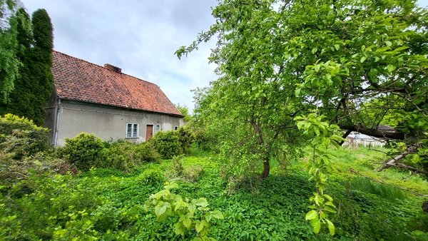 Elbląg KWADRAT NIERUCHOMOŚCIElbląg, działka 2916  m2uzbrojona:  woda, kanalizacja, gaz i prądzabudowana