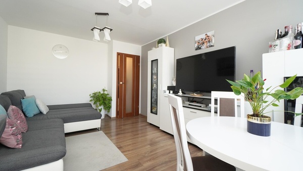 Elbląg   TO MY SPRZEDAJEMYNIERUCHOMOŚCI W TYM MIEŚCIEBIURO NIERUCHOMOŚCIAMERICAN HOMEFOR SALE - 2 POKOJE - PŁK.