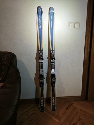 Elbląg Sprzedam narty Dynastar 160 cm niebieskie
odbiór we własnym zakresie
