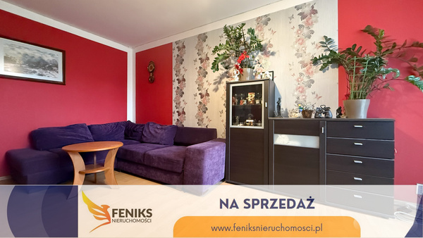 Elbląg FENIKS NIERUCHOMOŚCIPOLECA:MIESZKANIE 3 POKOJOWE W PRZY  UL. KŁOCZOWSKIEGONAD JAREMCENA 399.000 ZŁ 