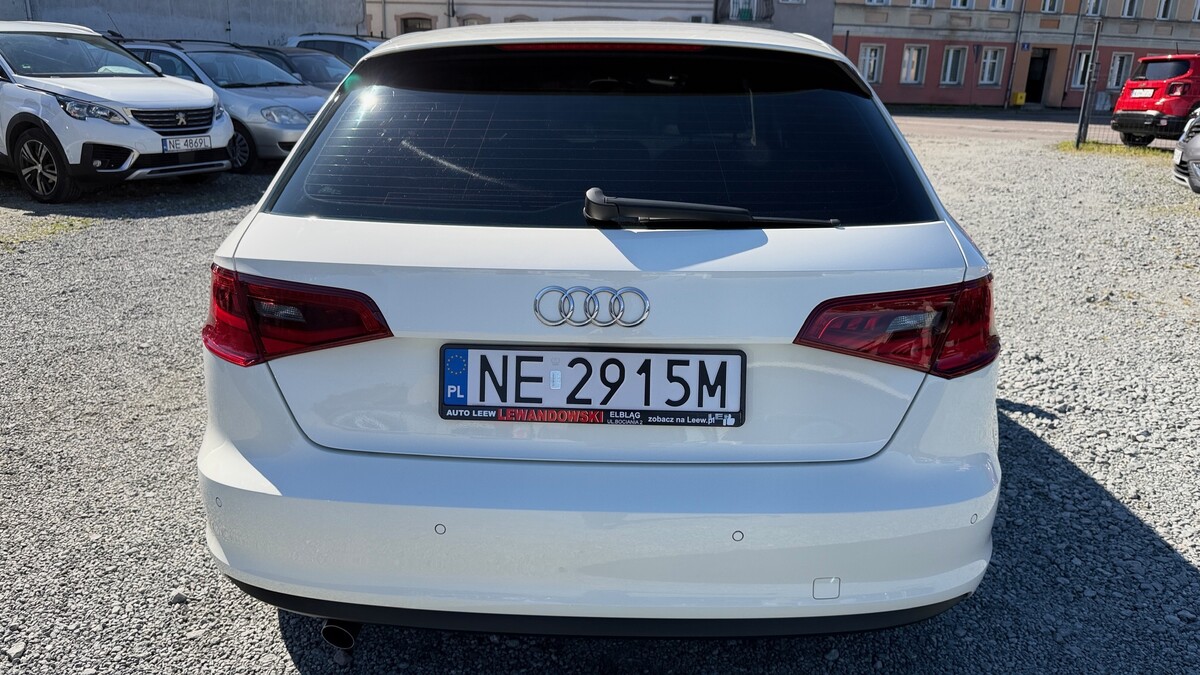 Elbląg Auto Leew LEWANDOWSKI