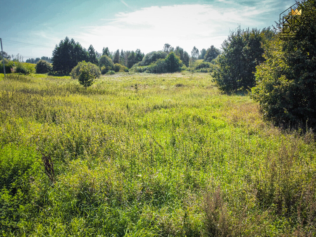 Elbląg 👑🏠KINGDOM 🏠👑NIERUCHOMOŚCI BLISKO CIEBIE DUŻA, UROKLIWA DZIAŁKA