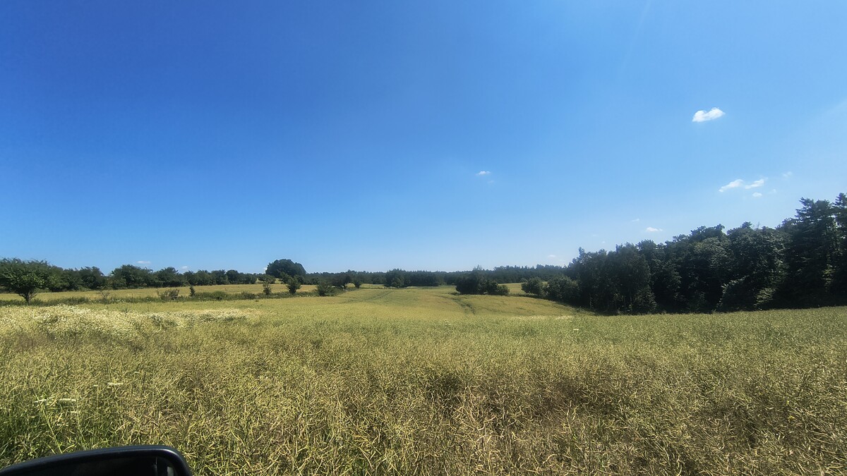 Elbląg Działki rolno-budowlane 10ha, widok na Zalew Wiślany, 30zł/m2!