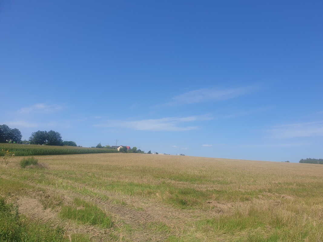 Elbląg MEGA-CONSULT NIERUCHOMOŚCI - WYCENA, SPRZEDAŻ, KUPNO, WYNAJEMOFERUJE ATRAKCYJNĄ DZIAŁKĘ INWESTYCYJNĄ O