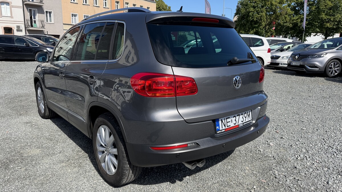 Elbląg Auto Leew LEWANDOWSKI