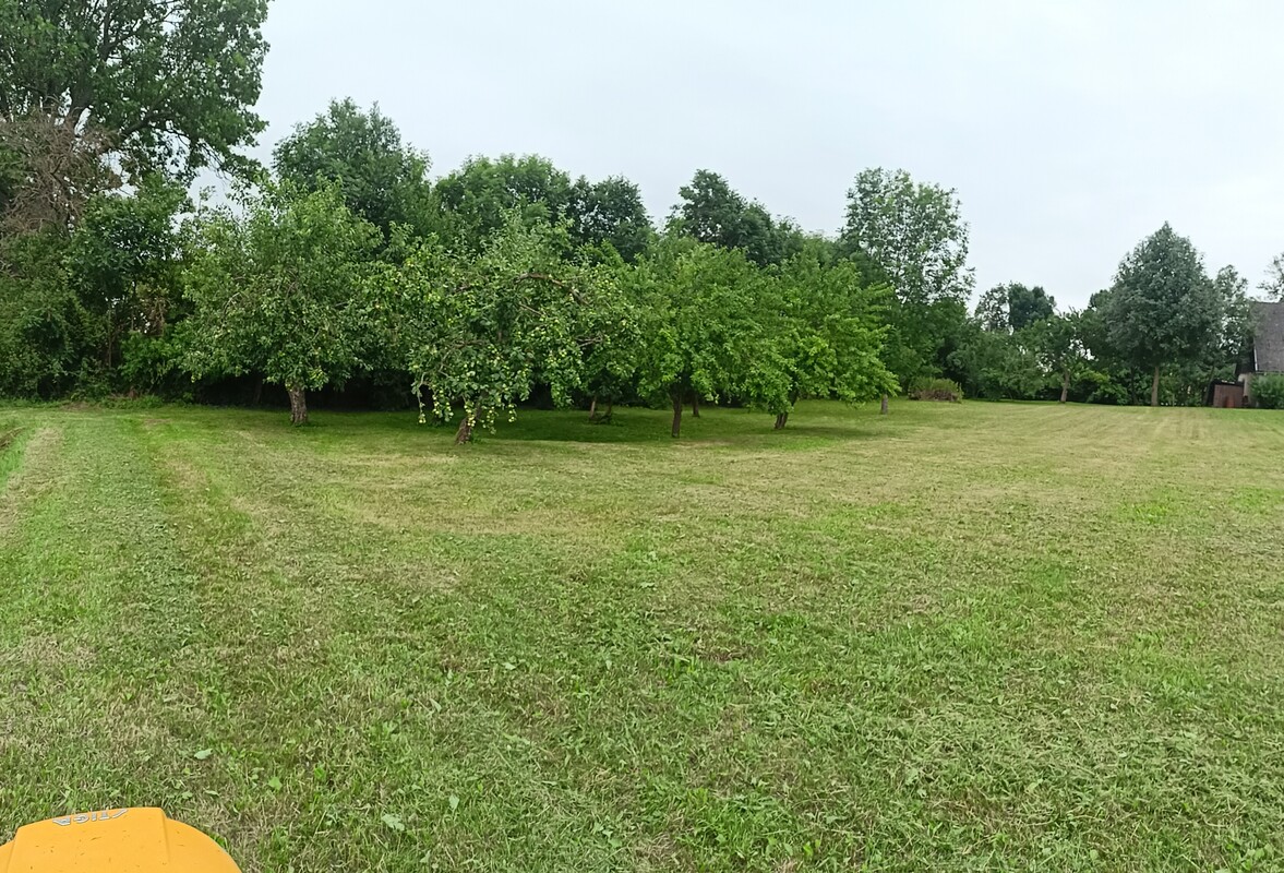 Elbląg 🏡 SPRZEDAM DOM Z DUŻĄ DZIAŁKĄ 🌳