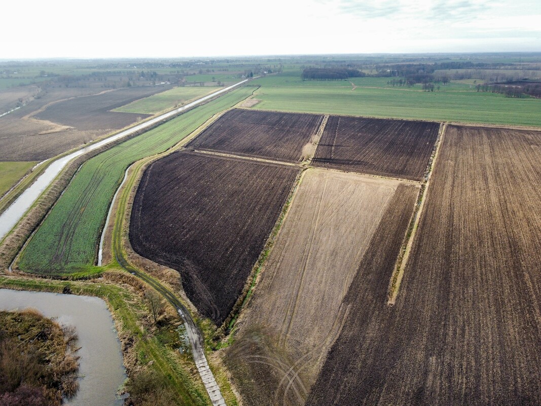 Elbląg NIERUCHOMOŚCI ANNA KRASZEWSKAGrunty rolne na sprzedaż 11,65 haSzopy, gm. Gronowo Elbląskie, powiat elbląski