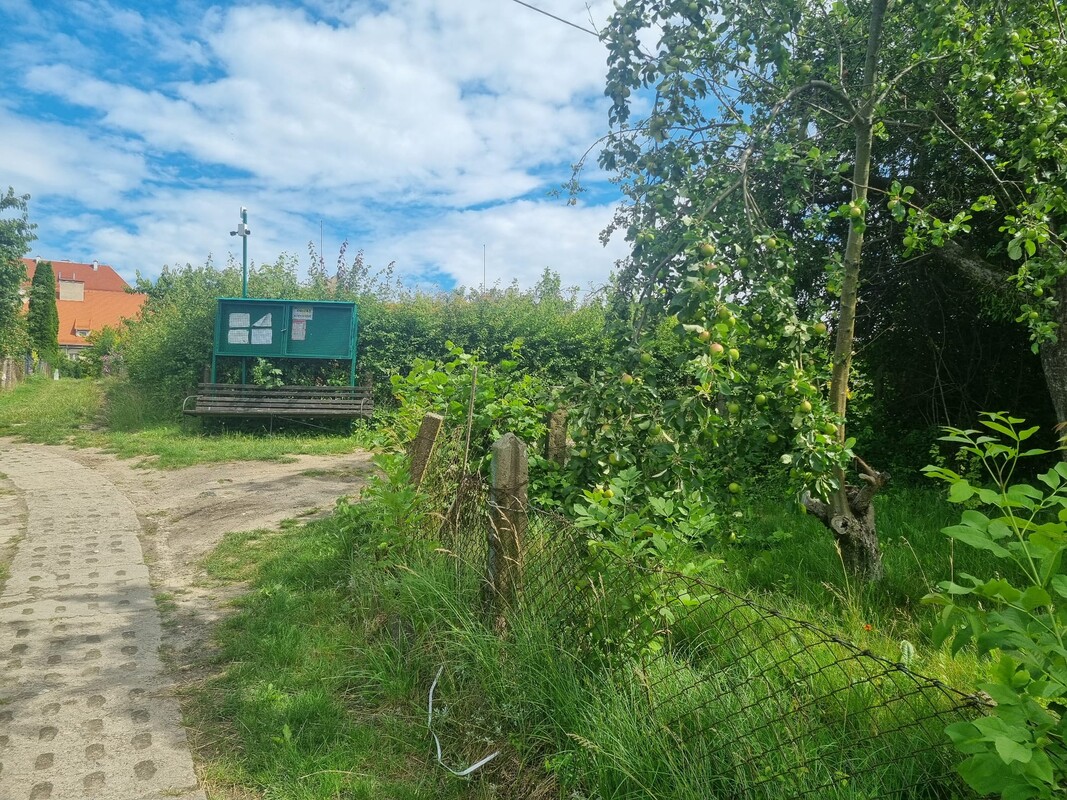 Elbląg 🌳 Sprzedam działkę ROD przy ul. Kościuszki 46 🌞Powierzchnia: 330 mkw | Prąd