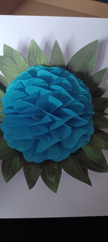 Elbląg Dzień dobry,
W ramach hobby wykonuje z papieru kartki okolicznościowe, origami modułowe 3d.
Poszukujesz