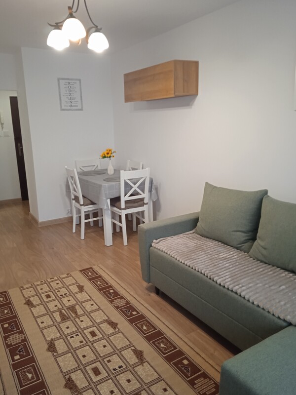 Elbląg Do wynajęcia kawalerka o pow. 35m. Mieszkanie położone na parterze w 4-piętrowym budynku przy ul. Robotniczej