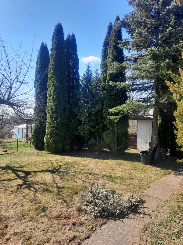 Elbląg sprzedam działkę rod Słoneczne Wzgórze na Bielanach o pow.450m ², drewniana altanka, osobne WC, woda,