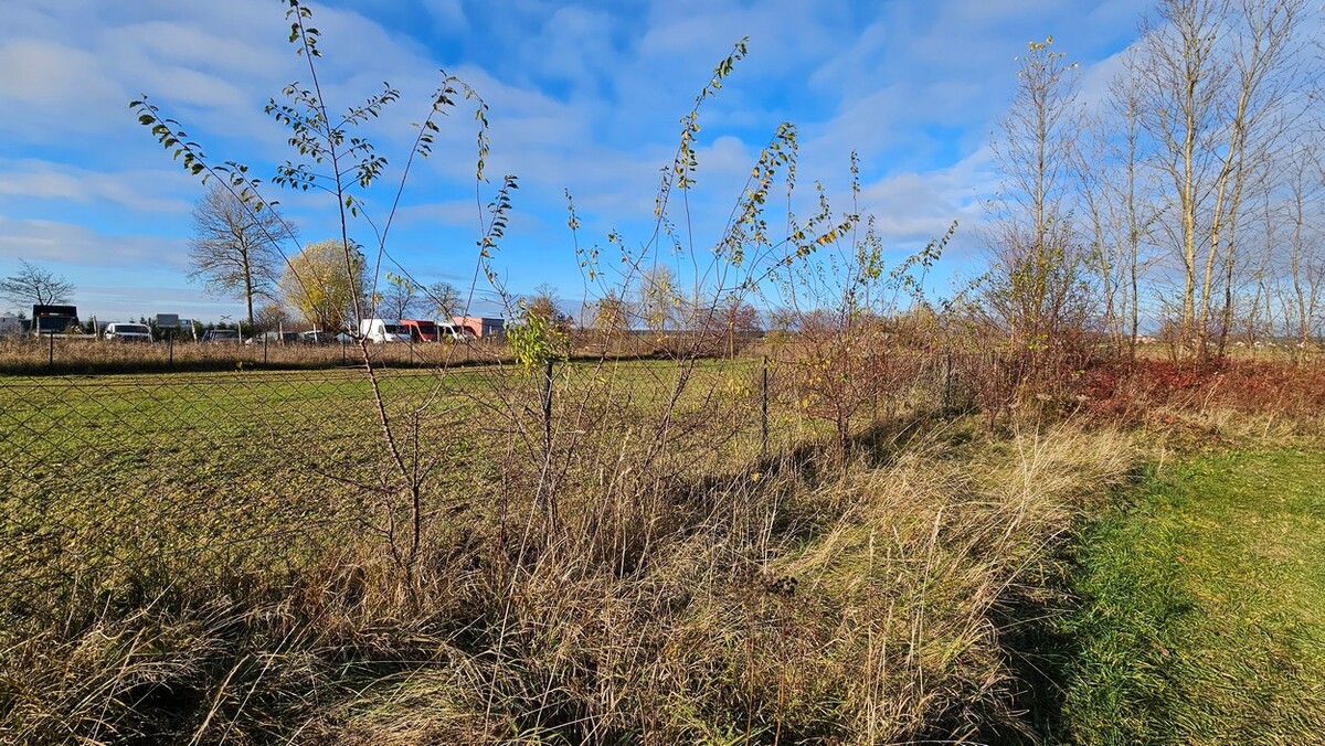 Elbląg BIURO NIERUCHOMOŚCISZULC& SZULCNA SPRZEDAŻDziałka budowlana z wydanymi warunkami zabudowy w miejscowości