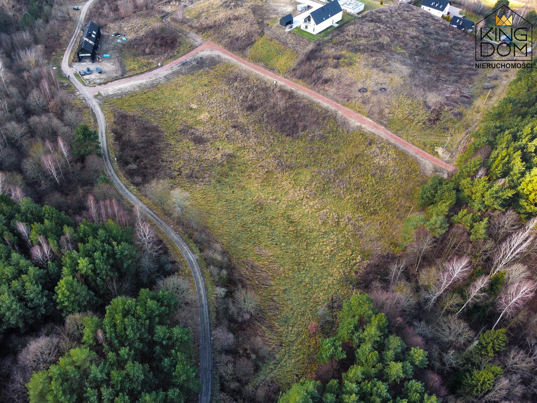 Elbląg 👑🏠 KINGDOM 🏠👑NIERUCHOMOŚCI BLISKO CIEBIE NA