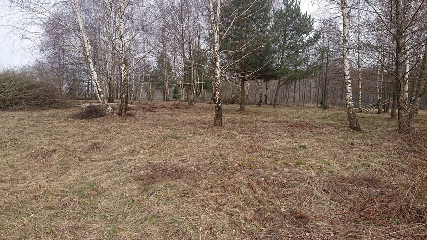 Elbląg SPRZEDAM 2 DZIAŁKI POD MILEJEWEM W OKOLICY ZAJĄCZKOWA, 80 M OD KOMPLEKSU LEŚNEGO,