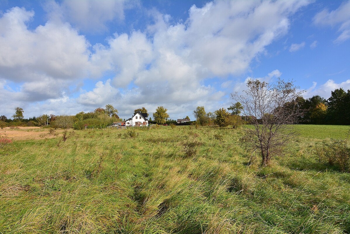 Elbląg WGN Nieruchomości oddział Elbląg, poleca w dniu dzisiejszym na sprzedaż działkę w miejscowości Rogity w