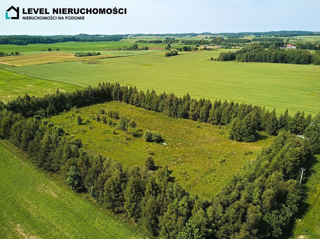 Elbląg LEVEL NIERUCHOMOŚCI Działka siedliskowa w Pogrodziu1,63 ha NIERUCHOMOŚCI NA POZIOMIE