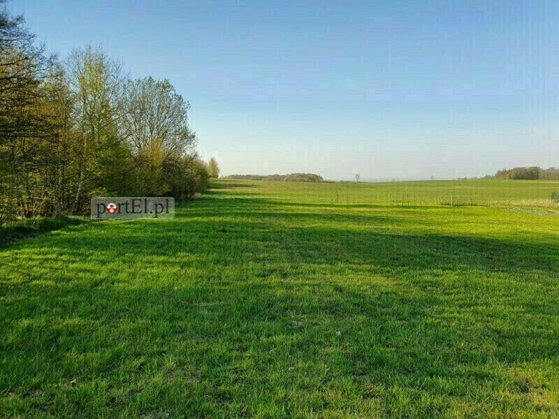 Elbląg Duża działka 3000 m2- blisko Elbląga- dojazd asfaltowy- Wysoczyzna Elbląska- w sąsiedztwie zabudowa
