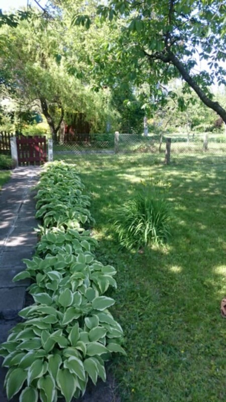 Elbląg 🌳 Sprzedam działkę 506 m² z altaną, piwnicą i drzewkami owocowymi! 🌞Na działce znajduje