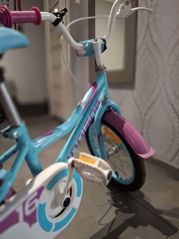 Elbląg Sprzedam rowerek