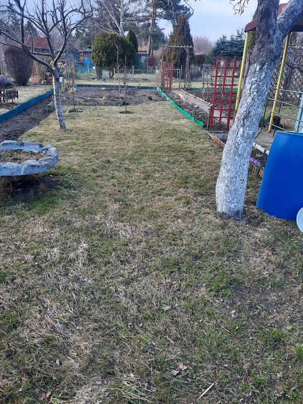 Elbląg Sprzedam działkę rod im. Kopernika na ul. Debowej, o powierzchni 300m², murowana altanka, wiata pod grilla