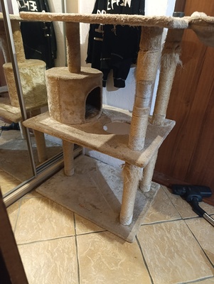 Elbląg Sprzedam duży kremowy drapak
106 cm wysoki
60 cm szeroki
55 cm długi
99ZŁ
